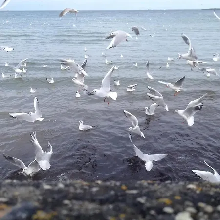 Maison A Avec Acces Direct Aux Plages Du Debarquement